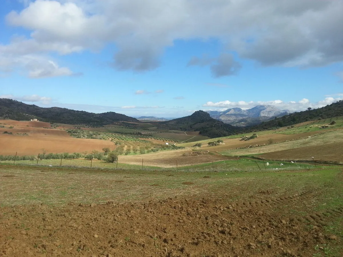 fd9060c7-f978-4352-8c67-2acf56985a24