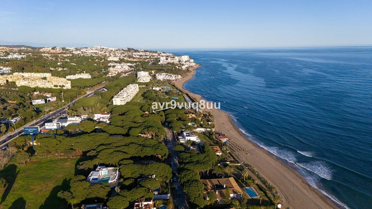 d4aeaaff-9212-46d0-8148-8e45bb1b3791