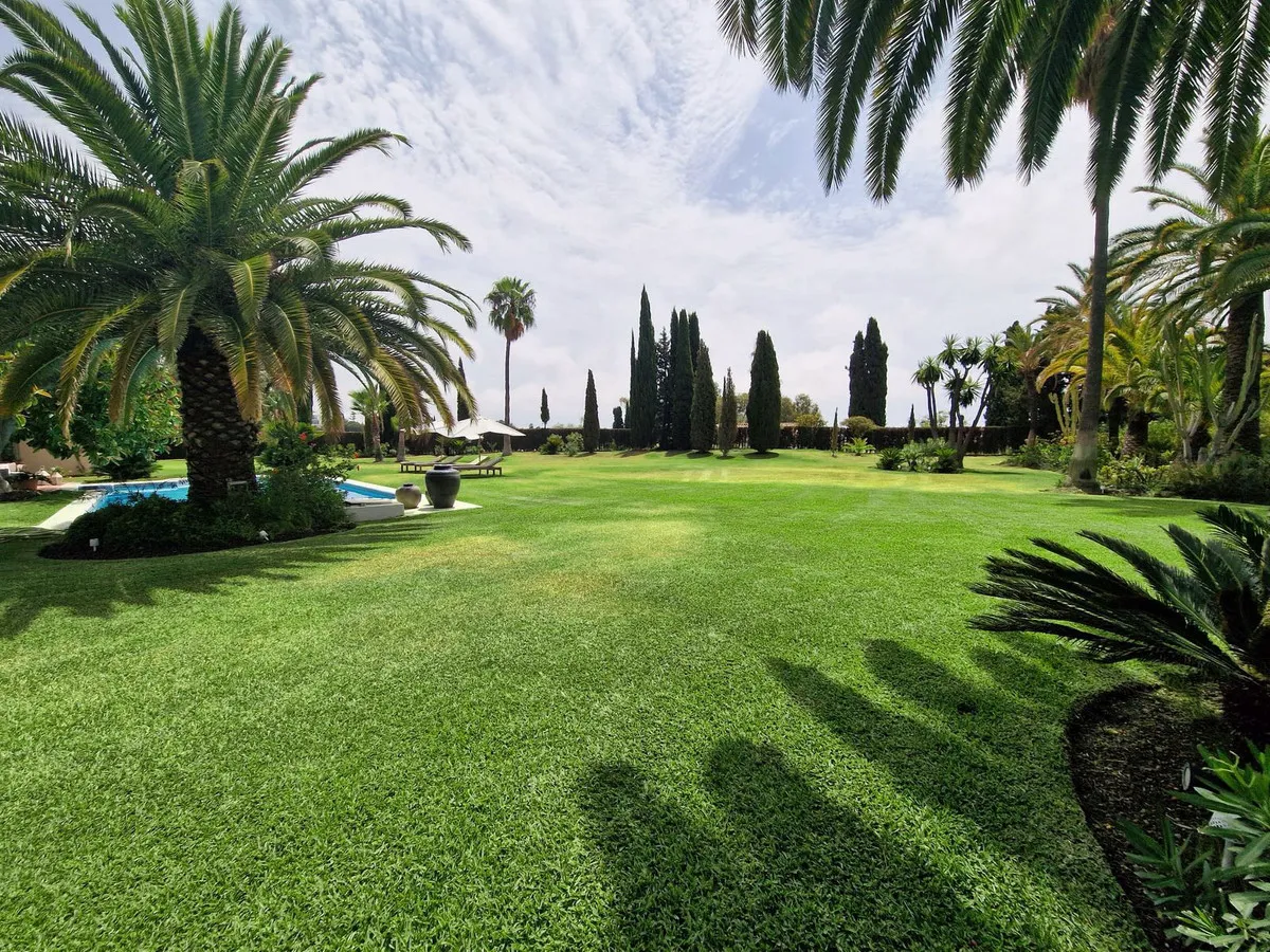 490a344f-405d-4068-8166-06d1305df07a