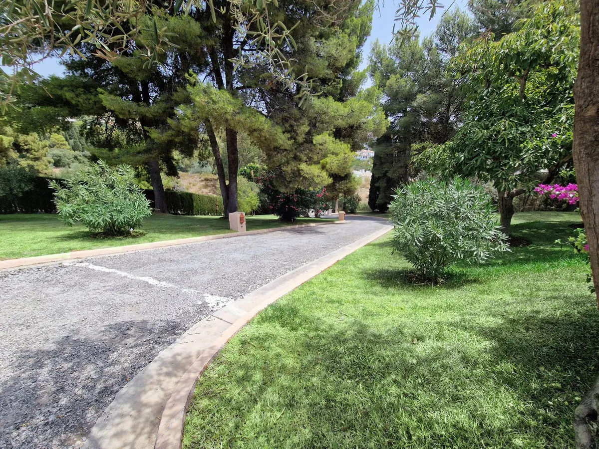 ae00e5a1-9074-4225-a43d-a2cee765b919