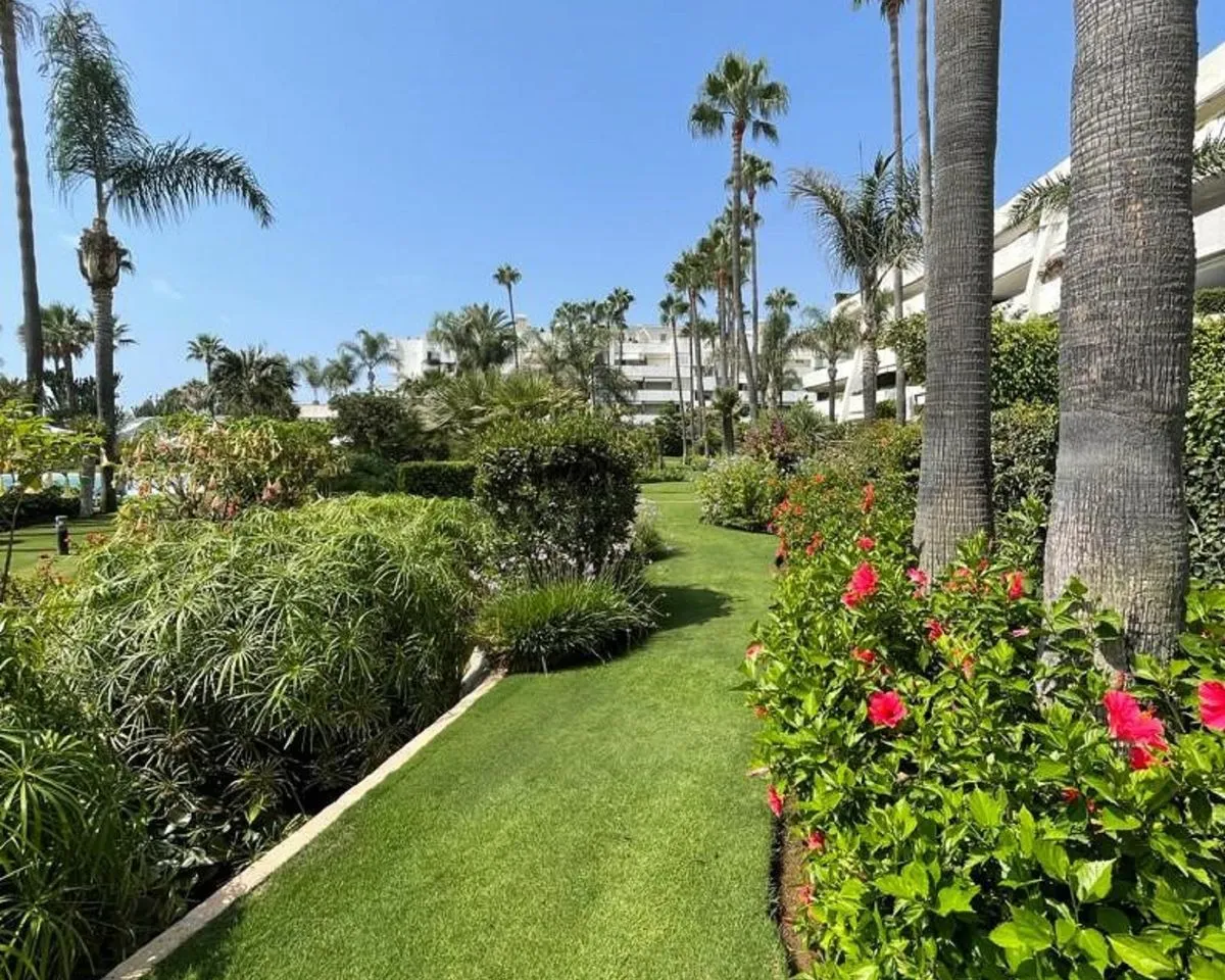 d753fee7-7050-40ce-b17f-9732f1c1d4fd