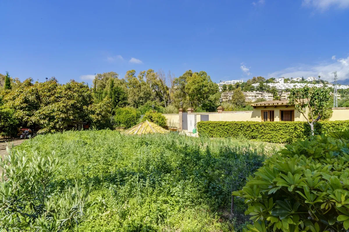 2094353b-b58c-46ae-a91e-1d262fe2a215