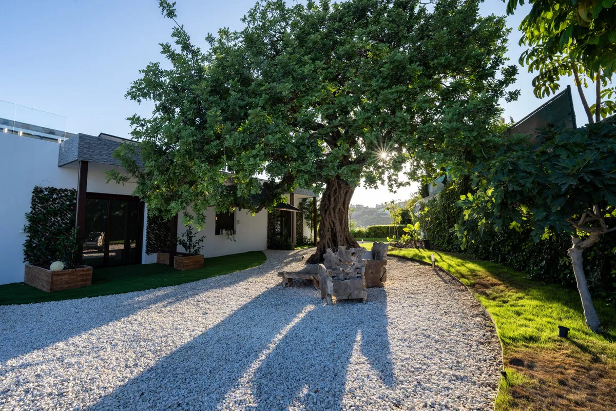 8fd7ba51-16ca-4573-8e3a-caad465d9557