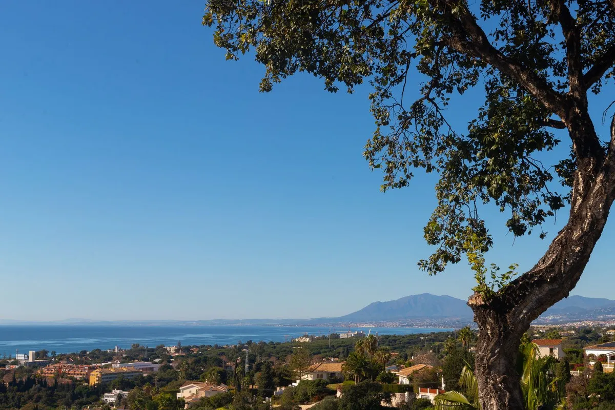 1b771294-286c-405c-b354-34cf39bc47fa