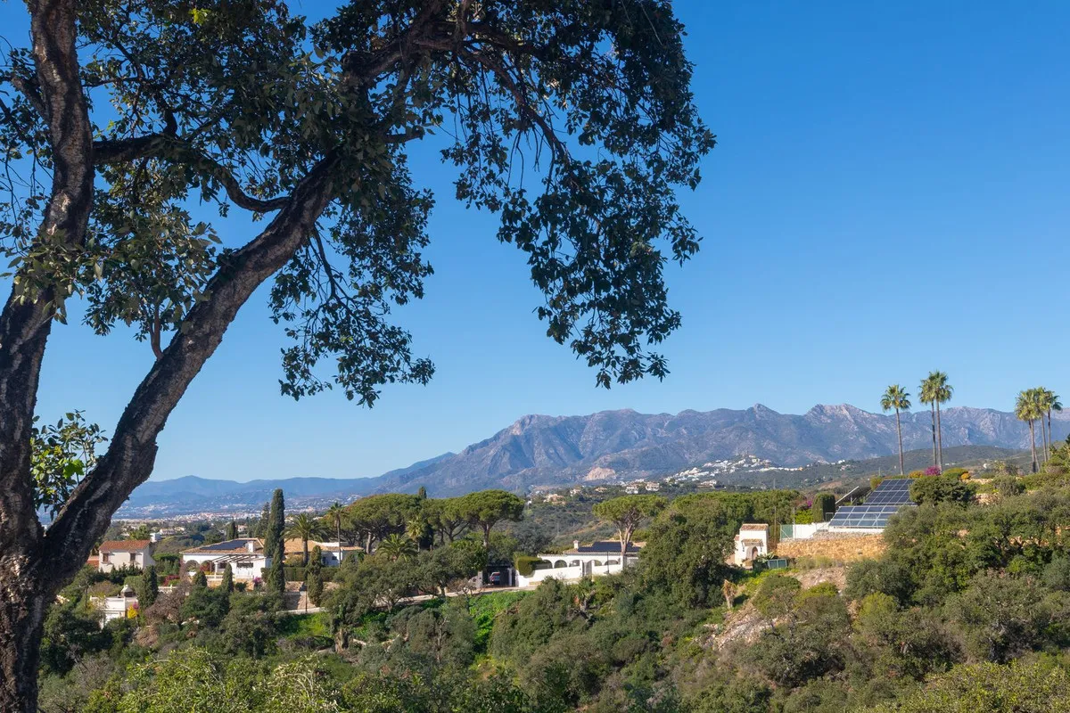 6259846e-3b79-4d21-b70b-90fd700f20a3