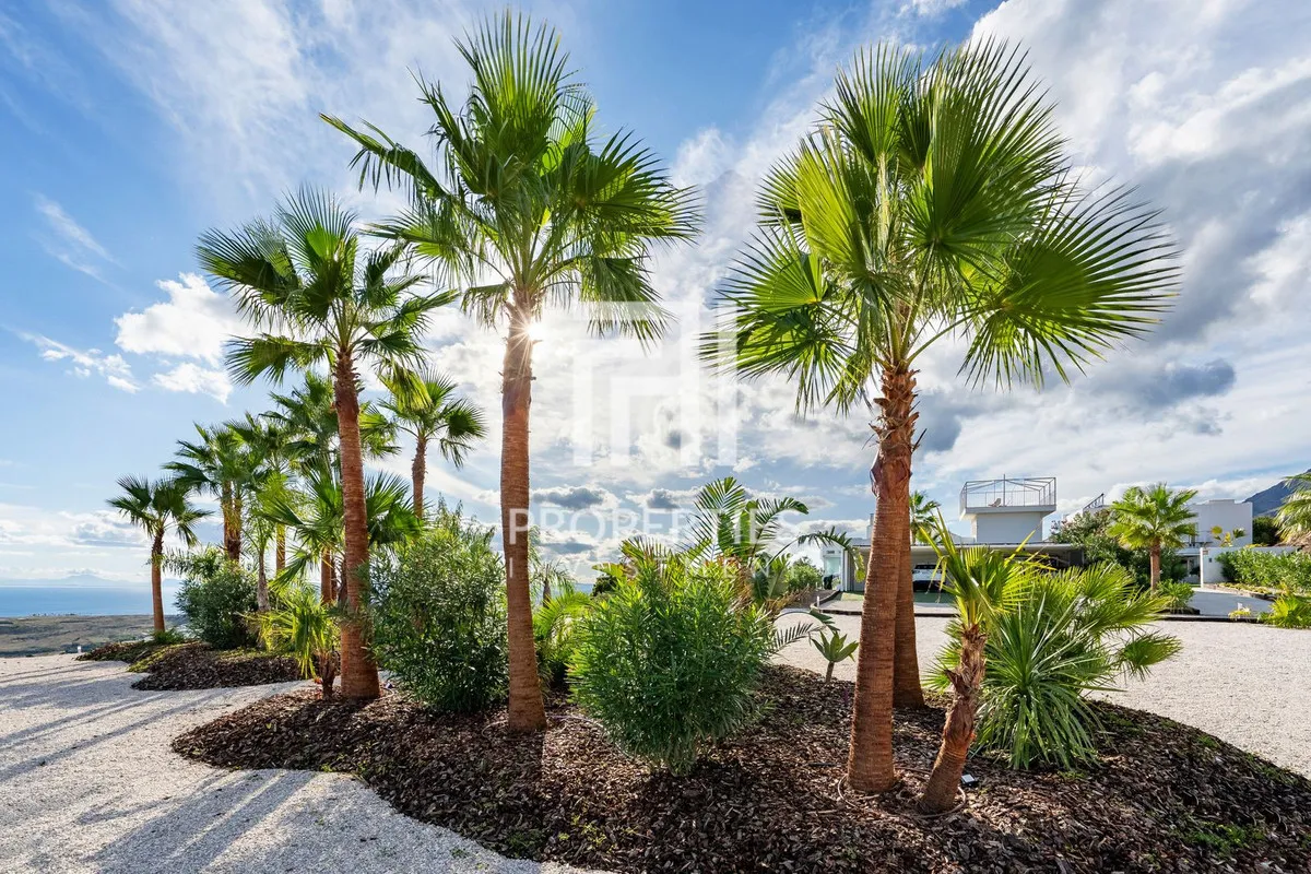 0059cd43-d898-4125-b65f-7d1504b62b8e