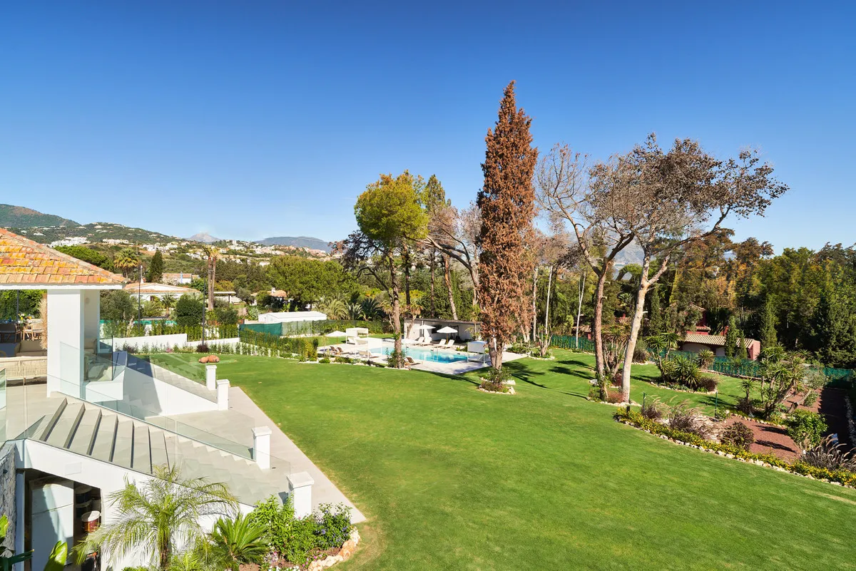 31b5d7df-521b-434a-9611-9a6f64372d18