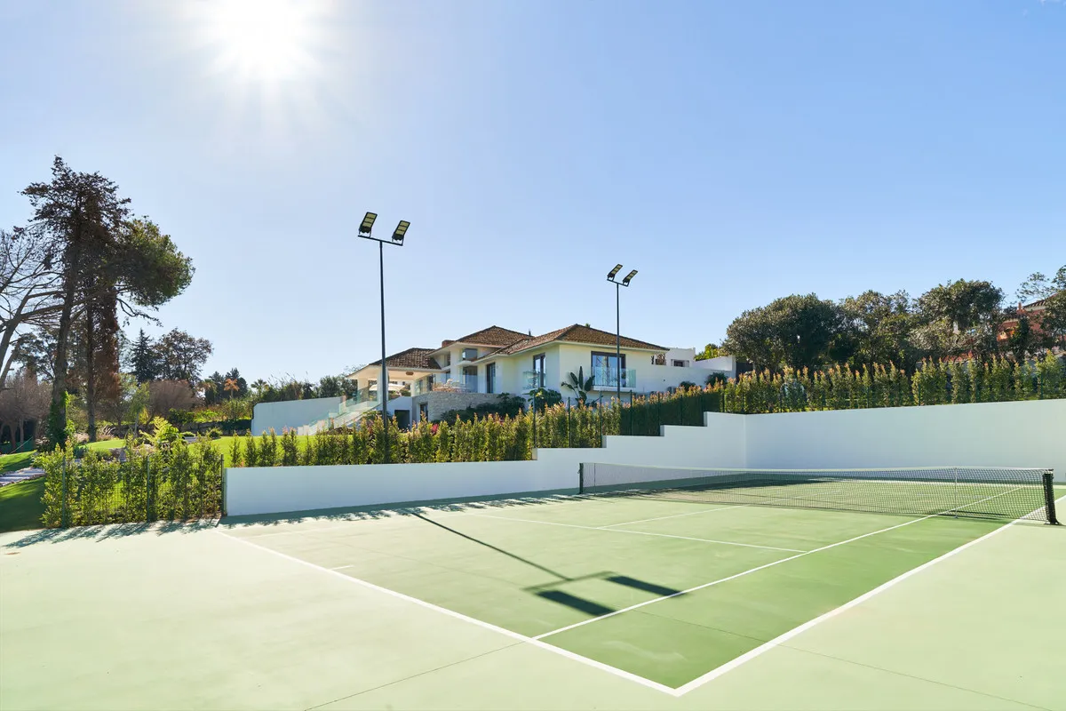 44d93692-c53d-472e-8eb0-a700c610b904