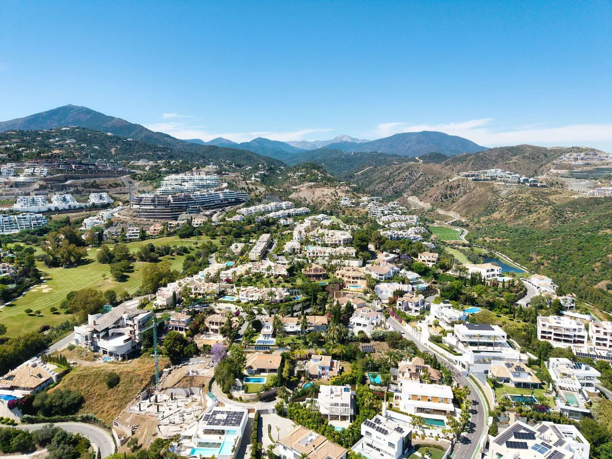 31316a8a-1192-4a01-8131-1b03e5157826