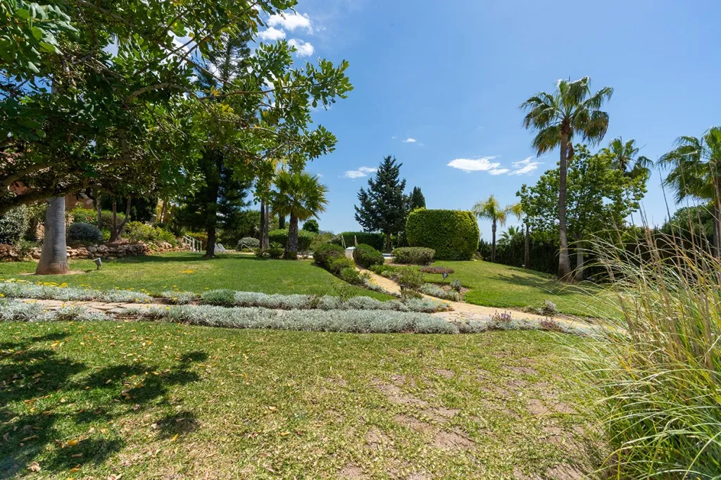 41304032-70d7-47b3-b72d-9b256721e722