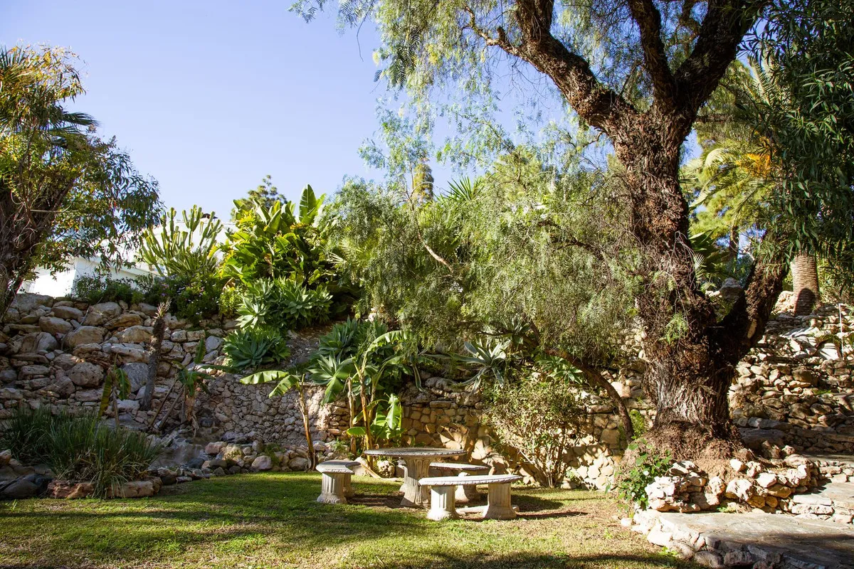 5a2d6e03-62ca-4020-93de-a8f85266a6d6