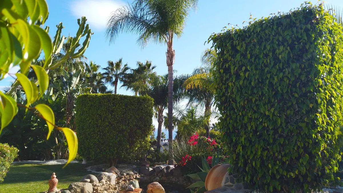 f0827edd-50dc-47ef-b4c4-0ac41f9b9be8