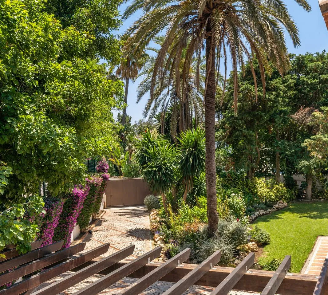 d772d244-f989-4f00-81fe-ccfef1aeac2c