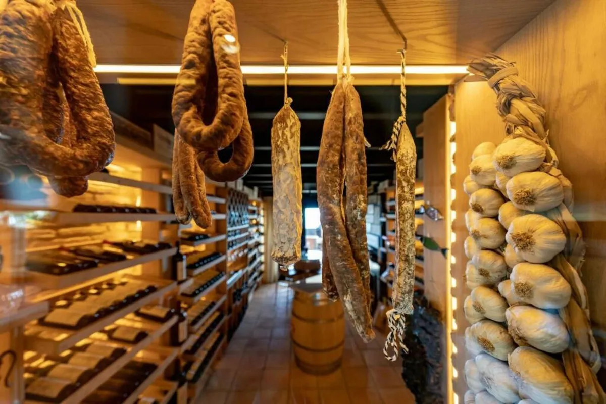 48631515-c503-4402-8309-2092ba2b5ead