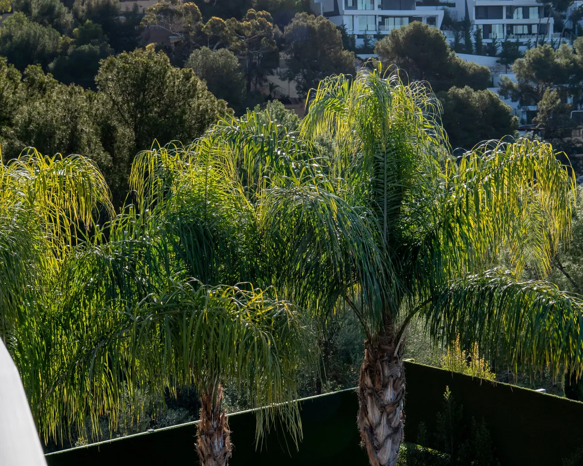 08a4711c-7f5c-41e0-b9ce-523a0b0b0837