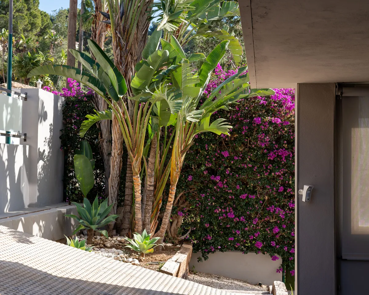 c87069d5-c35e-4051-b4da-9ecba3a9092a