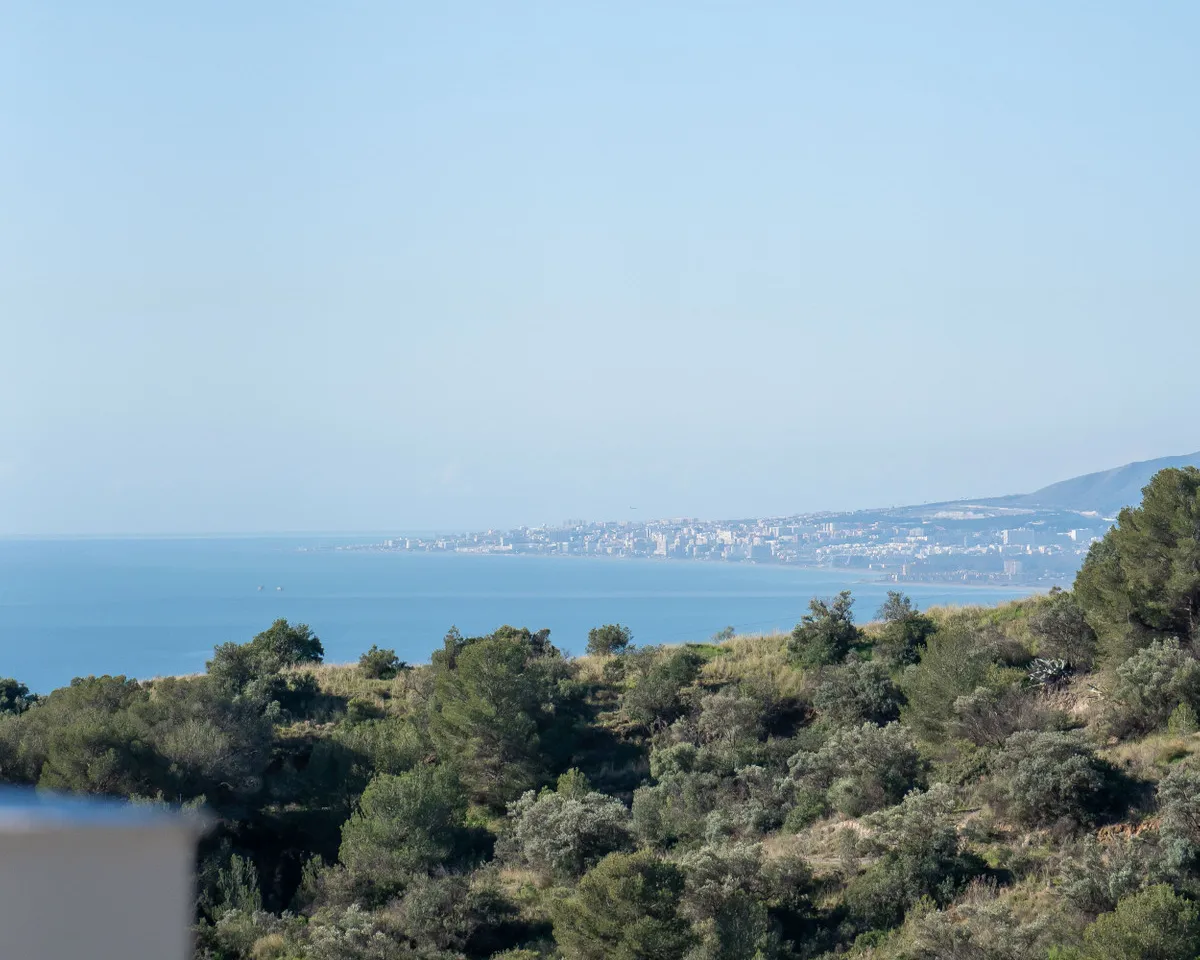 d6168e58-11a8-433a-aaee-22d73c0b6409