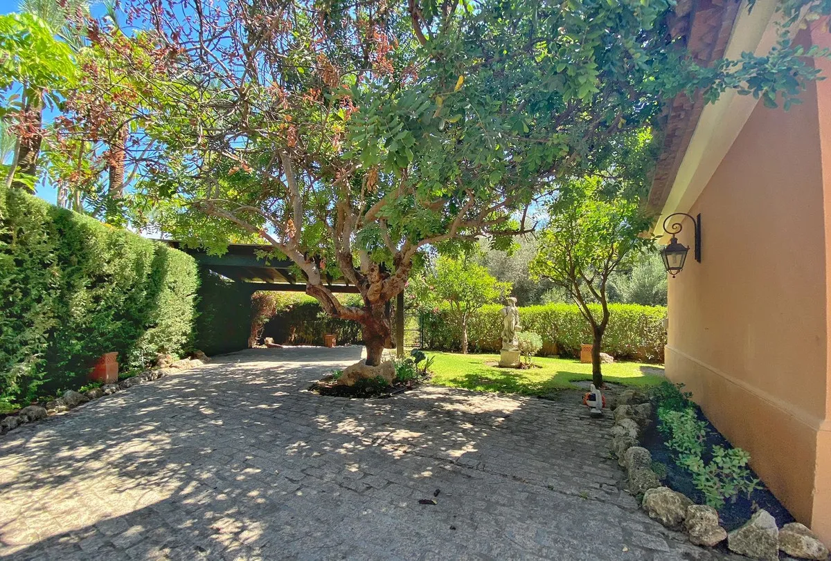 55228152-cb12-4676-9663-e997f9a1e9ef