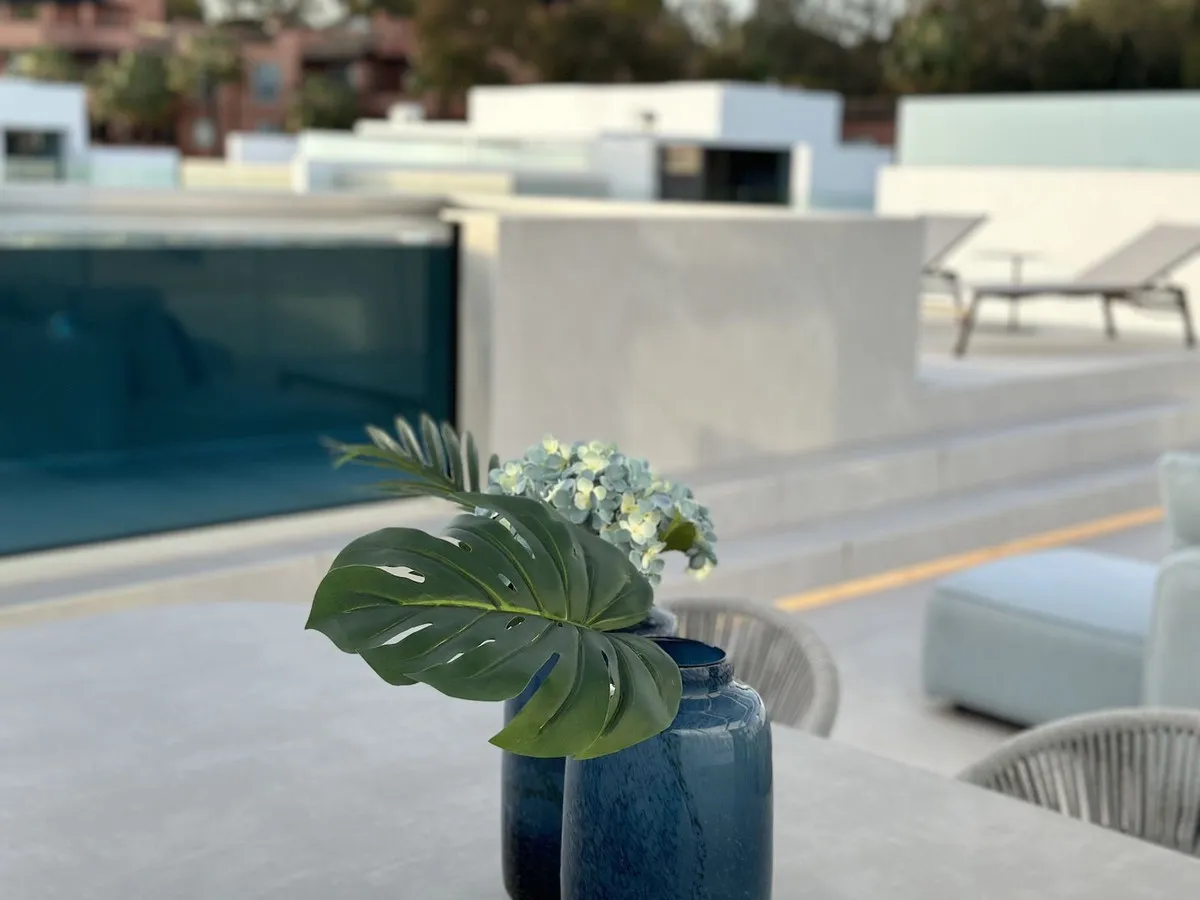 00d557f8-99e7-4cd4-b556-70f6795b1f0d