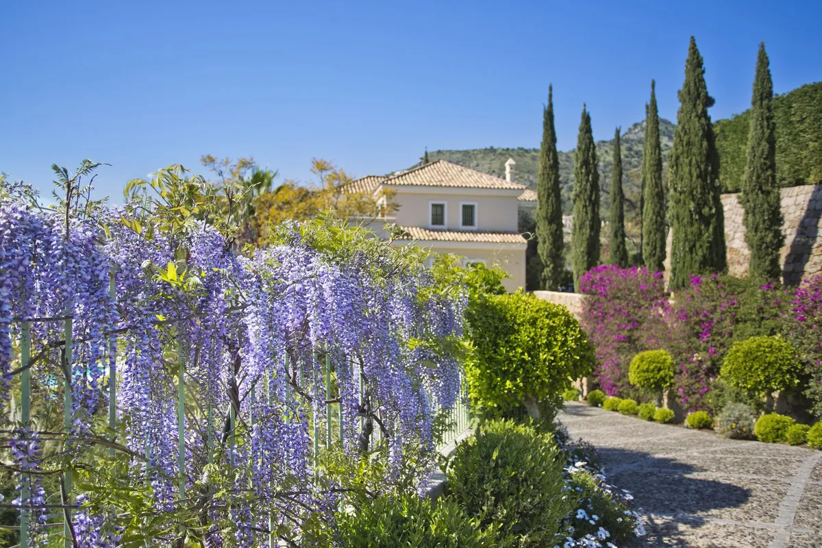 e17cadc2-b6bc-4cb7-9a18-6b068afafe5e