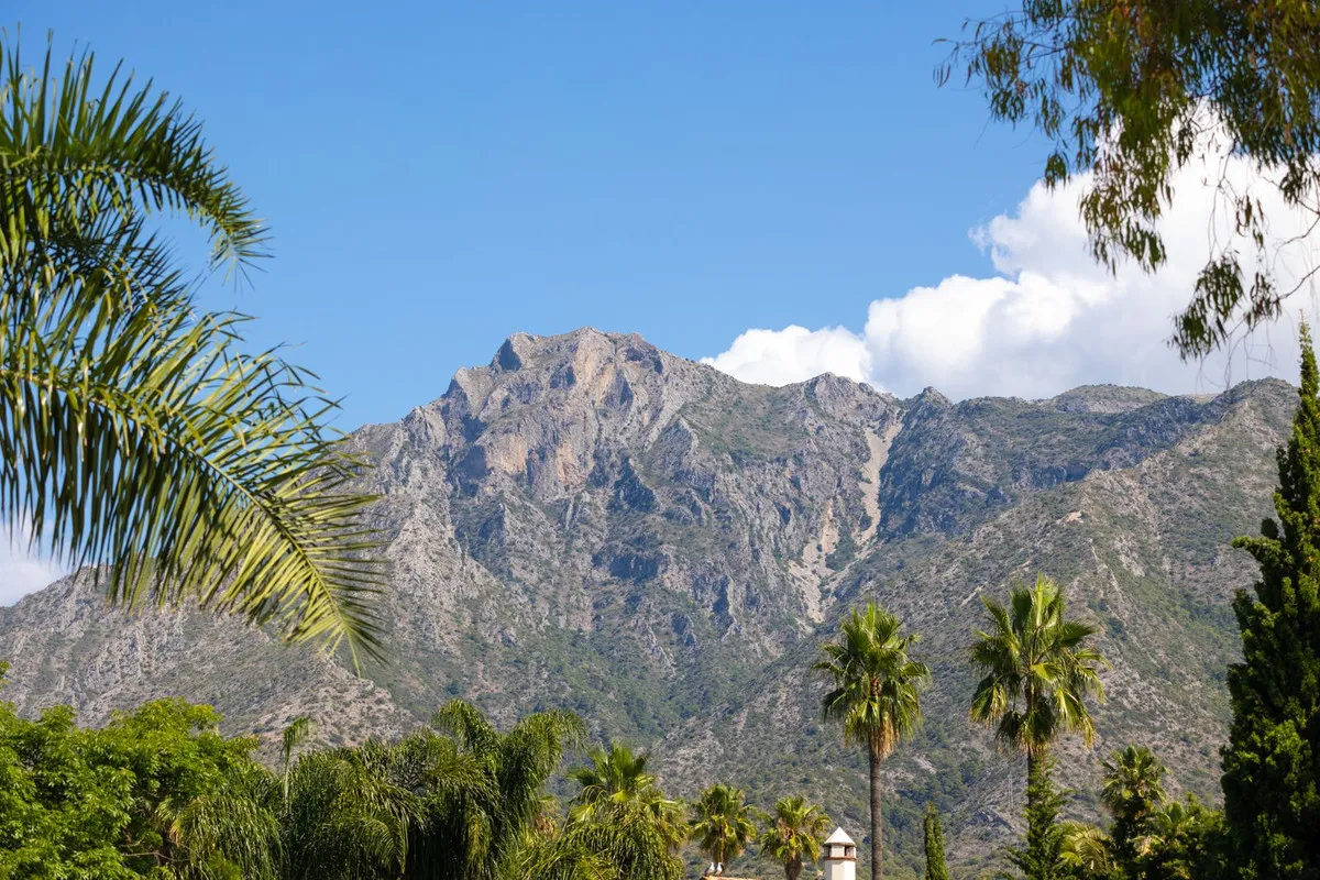 a84005d9-6cee-45f4-a57f-5e2bfa156529