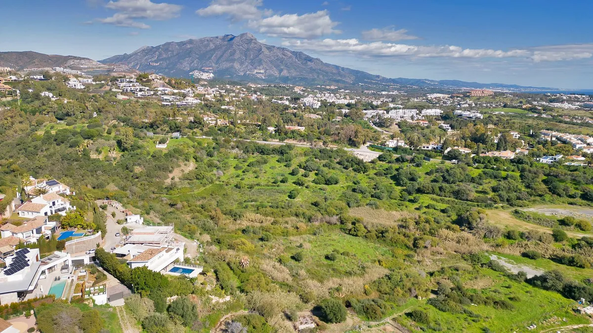 1e97b061-9aa1-4ca5-89cf-14950b466f9c