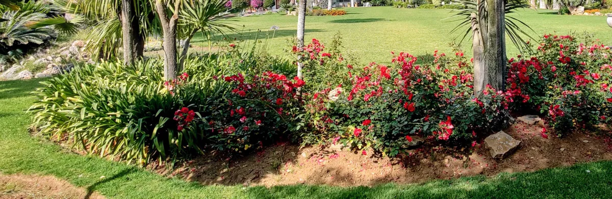 e1b72414-80ad-4fa0-ae19-33a9dcc5be6a