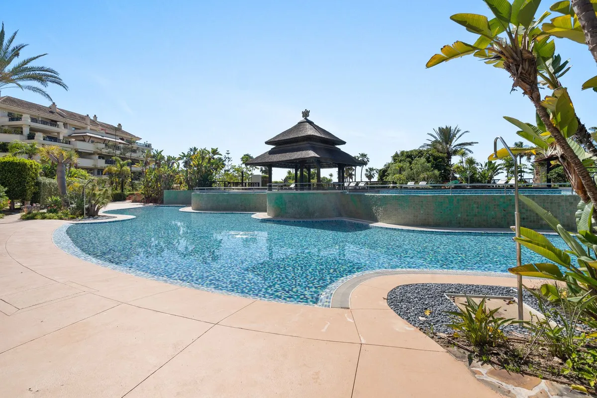 31790963-f34a-4a6d-b7df-1bba9529e582