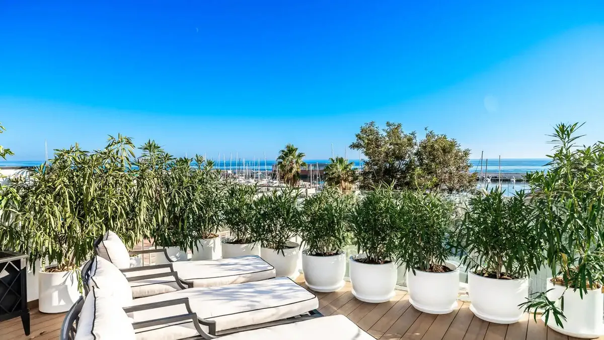 d5188dd3-d793-40ac-98f5-3d65a3d498fc