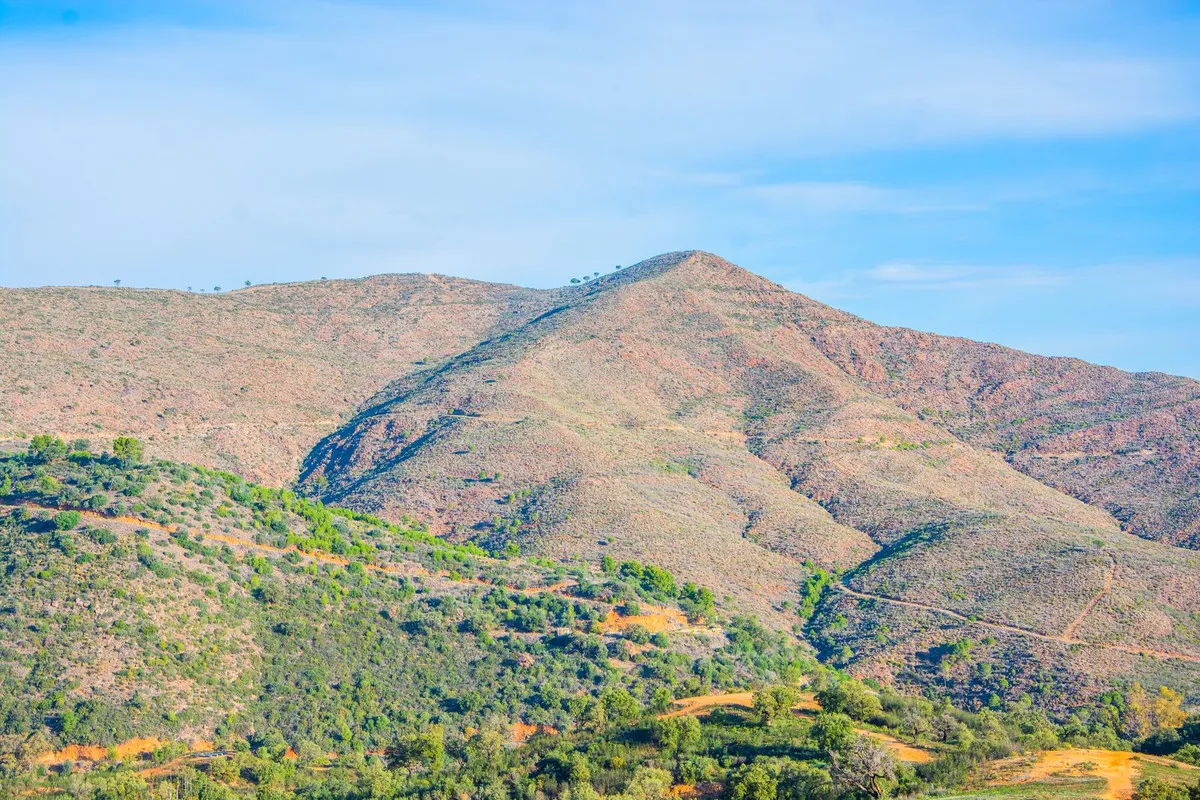 54cb5d04-0da1-4af4-b261-14c5f0ba3869