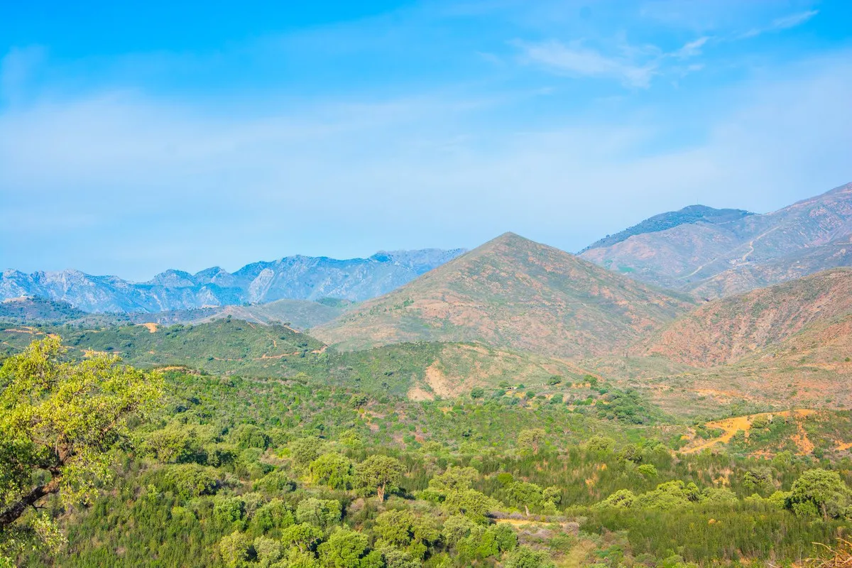 e8e21693-d4ae-4c81-bf2a-d2040289b5d6