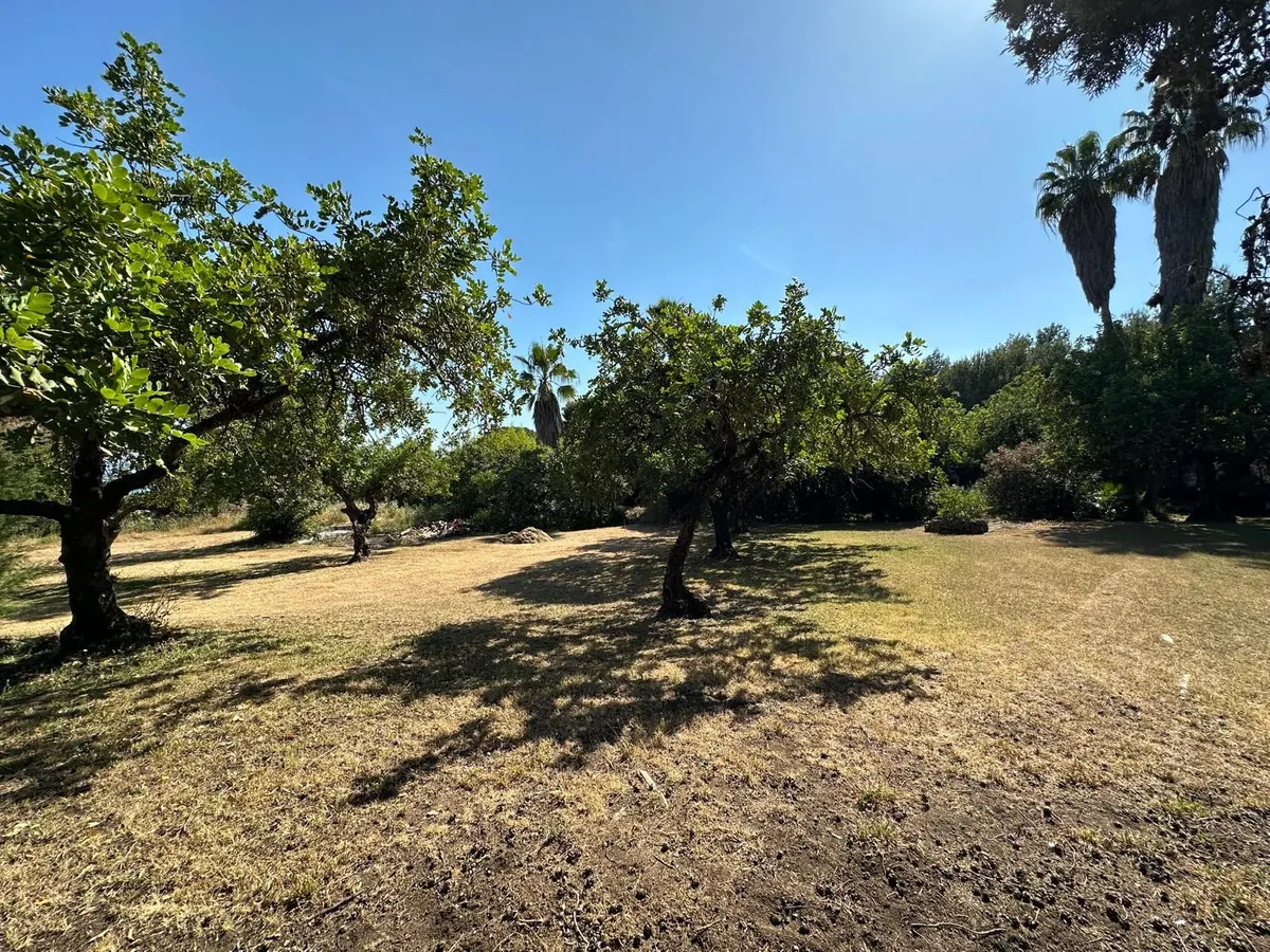 109185a7-32db-435e-ba8c-c24d8a41fdcf