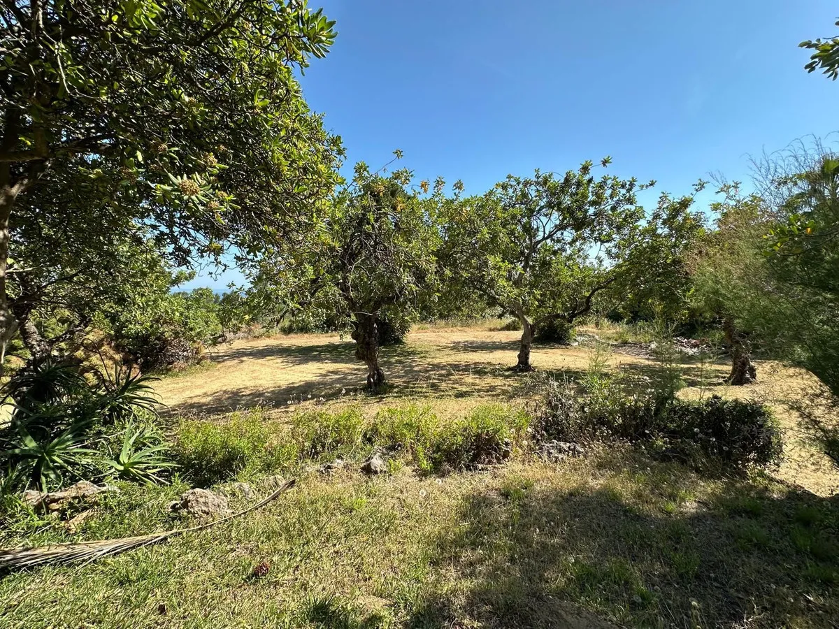 2db38955-a2ce-4015-a6db-55bb4d731337