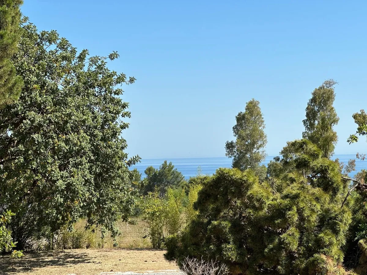 bc073aa9-f4bf-439e-a275-44b4ff62e352