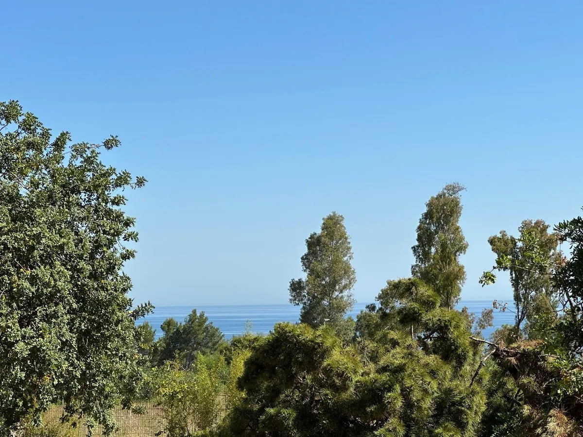 d1e892b0-768b-4719-ab50-6f7b15b57723