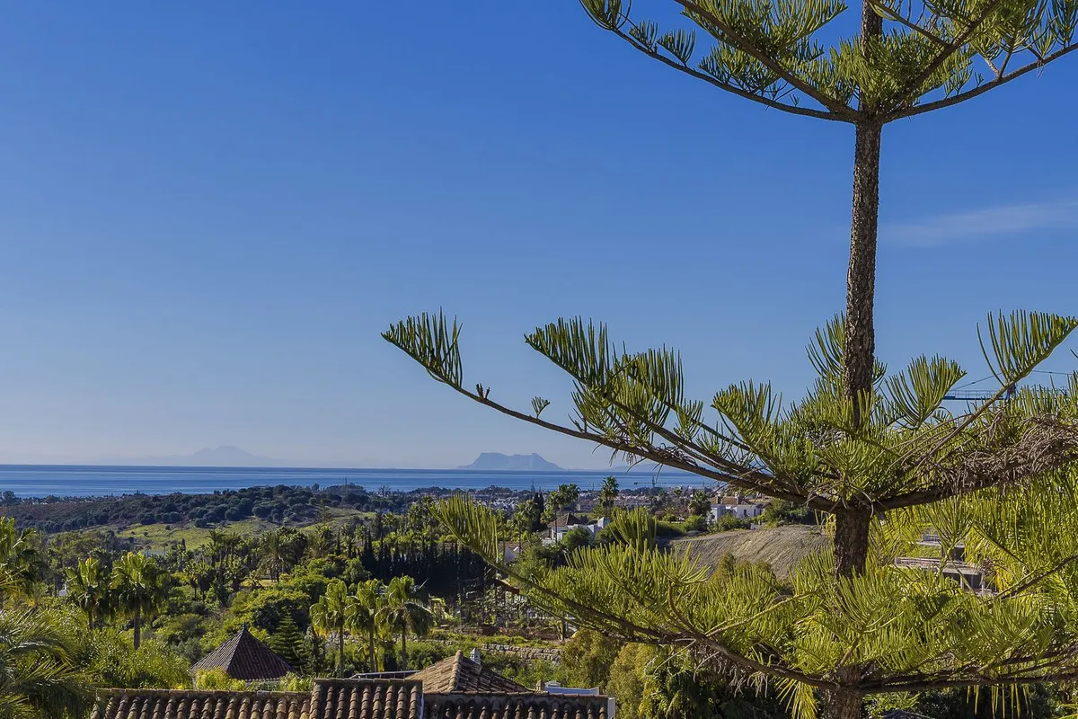 ee0a988e-6a29-44d0-aca1-0f4dad282b60