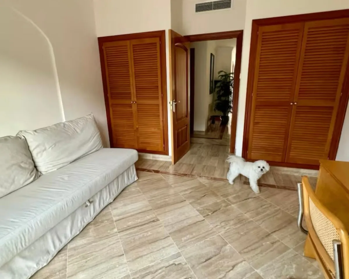 8827fb88-eefd-41ff-8557-08bb5ac34d5a