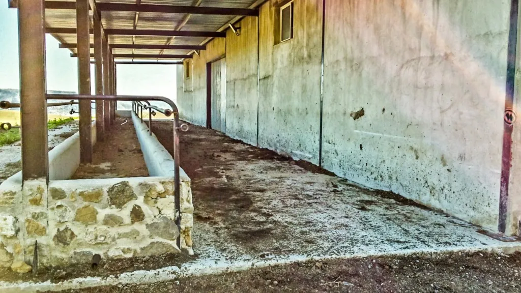 32d53395-211a-4f42-8ba7-9a0c413a001a