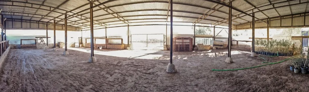 5818e8f2-98a3-4566-b408-43f5a84aa032