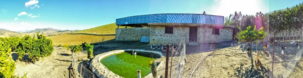 8b5310f0-833d-4f1b-bec6-b29175cc8d3b