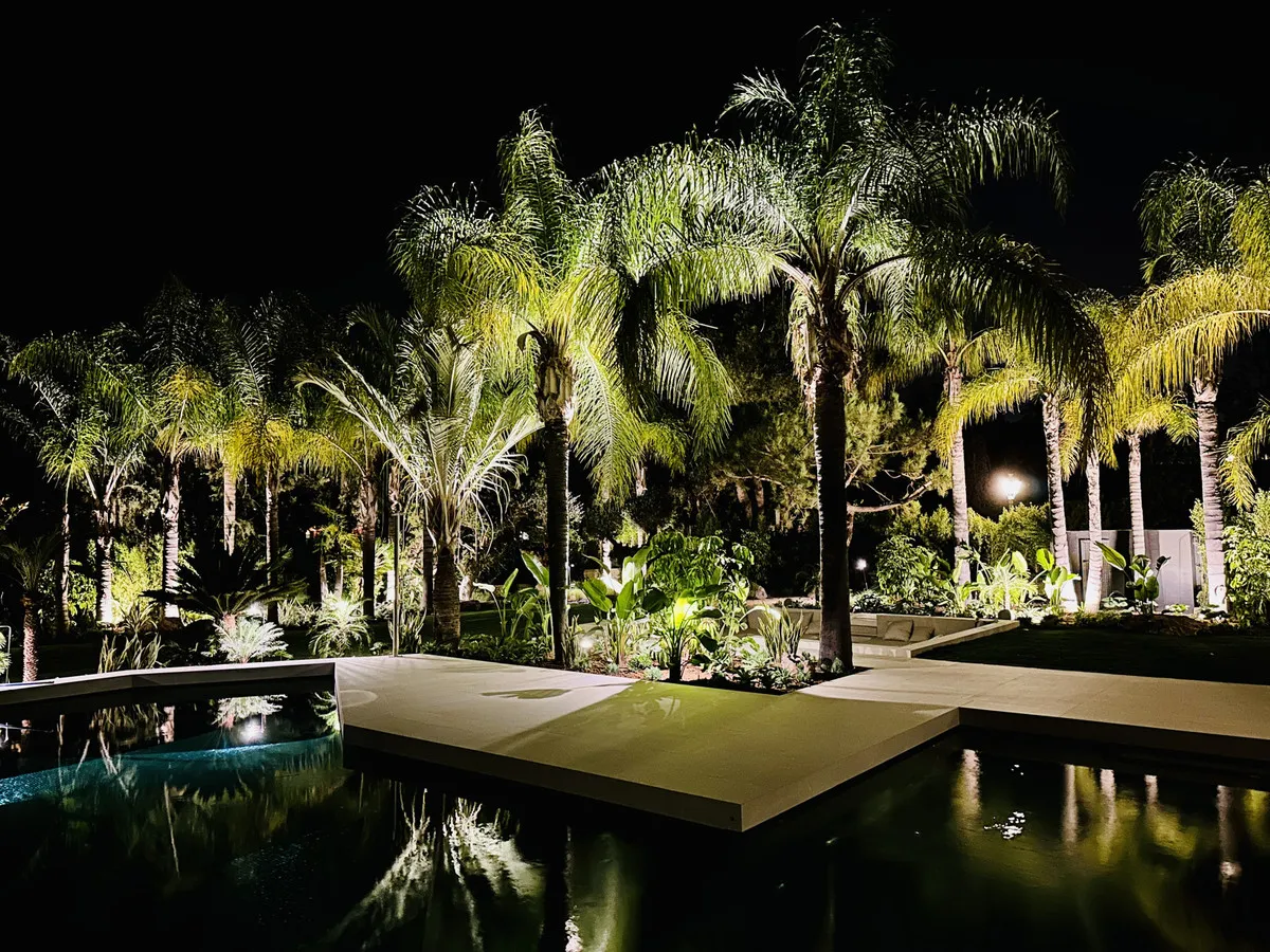 d77eb8d4-aa43-4942-8034-8c2935bd2f22