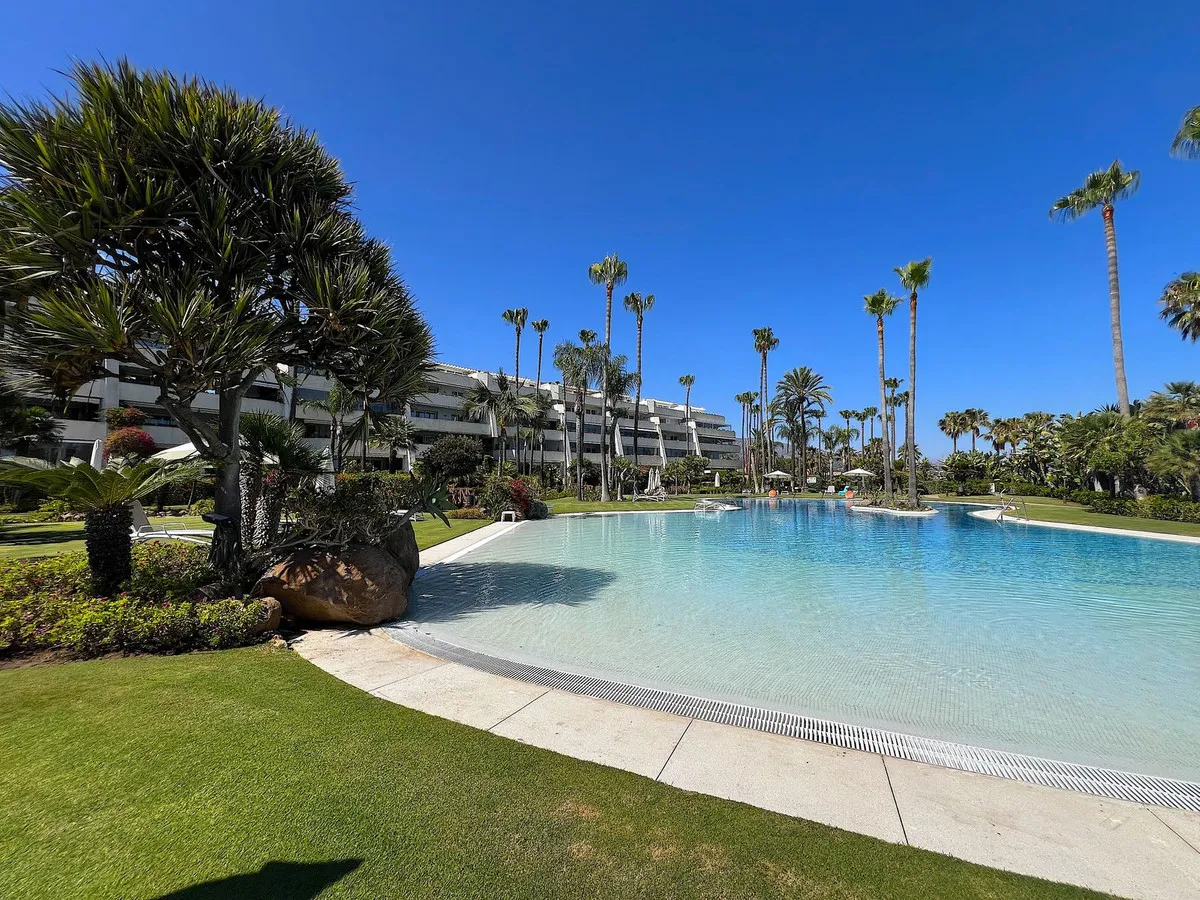 892493d8-0beb-4dc1-a250-70d8ba759343