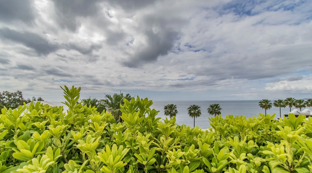 7ef7229c-cff8-4a75-8436-e5ca7ecd9dc8