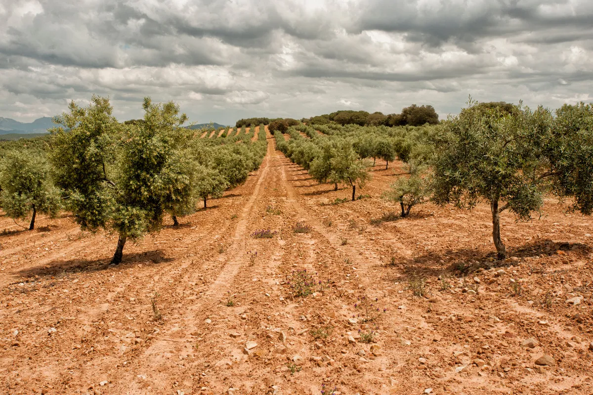 d7794a4e-47b4-4e16-a530-34076c33678a