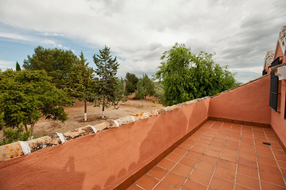 e4779815-272a-4c36-8ea8-7b9f8caefb6f