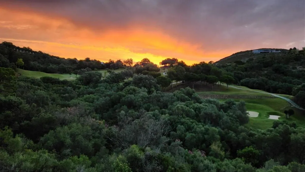 8fb3cec5-6ab0-4717-b29a-9341d2ae1cc9