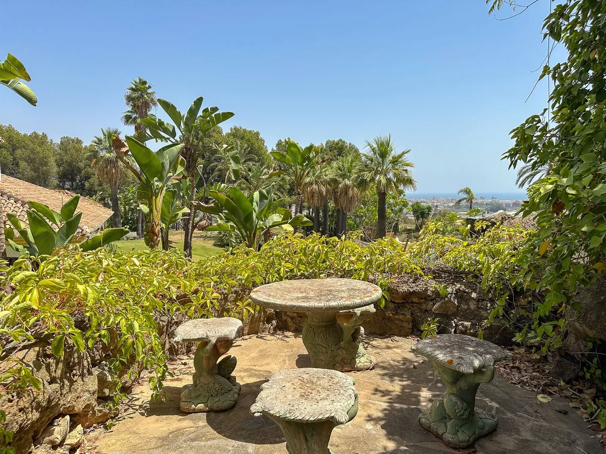 12ca6ff7-1136-427d-b3f2-660366ad5e0d