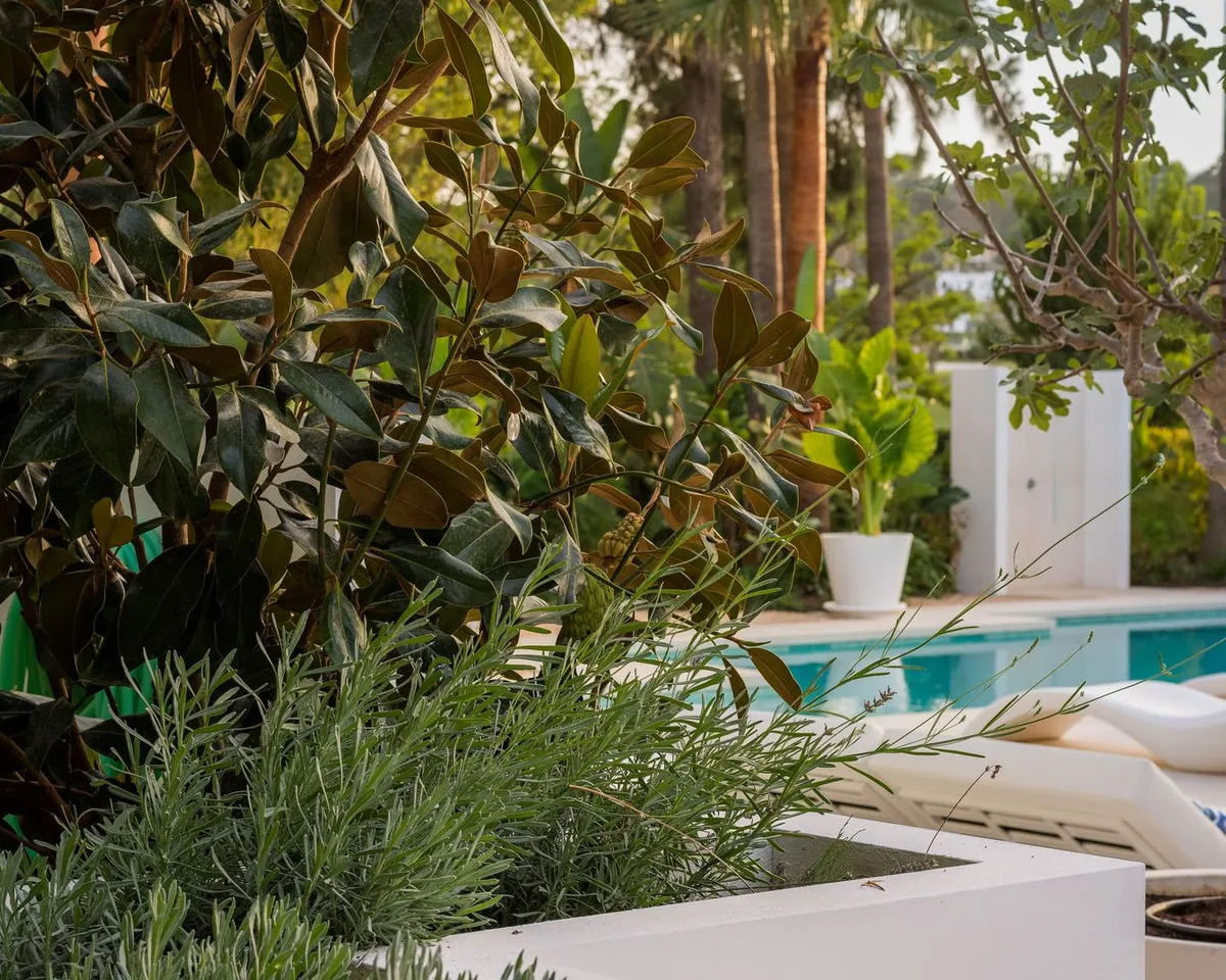 9391dbf4-db3b-449d-b33d-29e441e78897