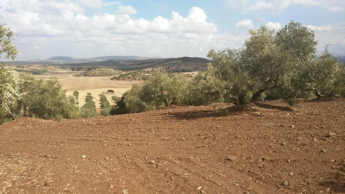 14f17089-bd7c-4cf0-abc4-98abde3ccad1