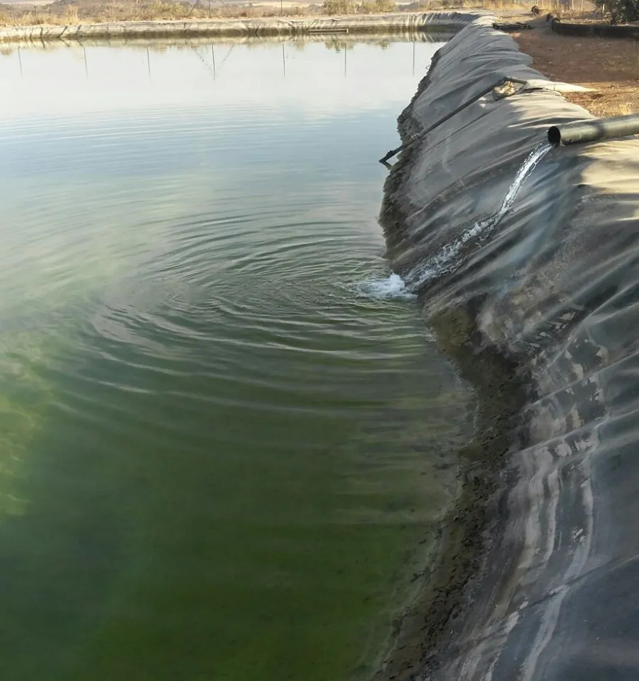 43dc3d5c-d3e7-455b-8edc-6e0b70e68db4